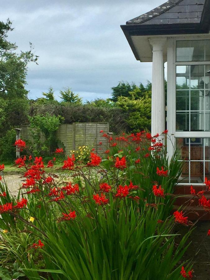 Padua Guest Accommodation Rosslare Rosslare Harbour Kültér fotó